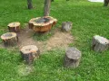 Jak zrobić stół wokół drzewa, aby stworzyć wyjątkową przestrzeń w ogrodzie