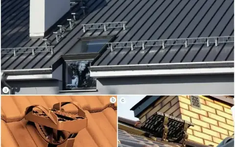 Na dachu zamontowano stopnie kominiarskie i ławy kominiarskie, które ułatwiają dostęp do komina. Rolka papy widoczna na jednym z detali.