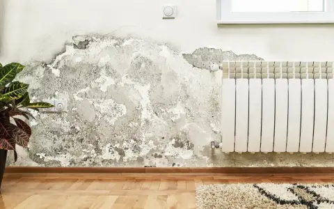 Grzyb na ścianie poczatek. Wilgoć niszczy tynk obok białego grzejnika i gniazdka elektrycznego.