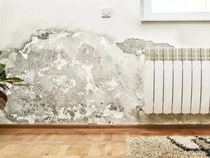 Grzyb na ścianie poczatek. Wilgoć niszczy tynk obok białego grzejnika i gniazdka elektrycznego.